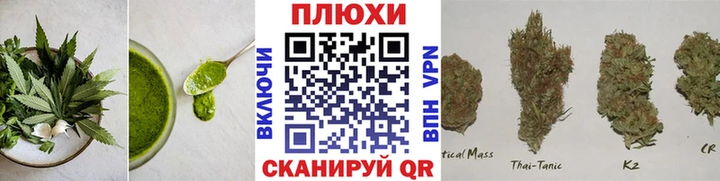 Canna-Cookies марихуана  Купить где  Комсомольск-на-Амуре 