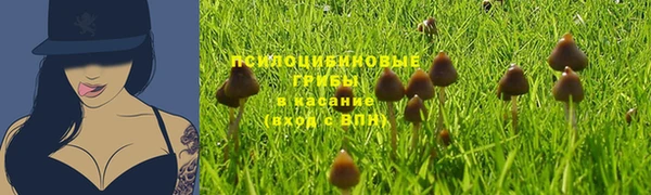 альфа пвп Белокуриха